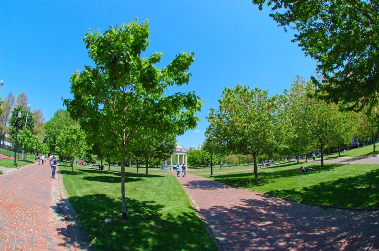 Boston Common park paths and trees in Boston