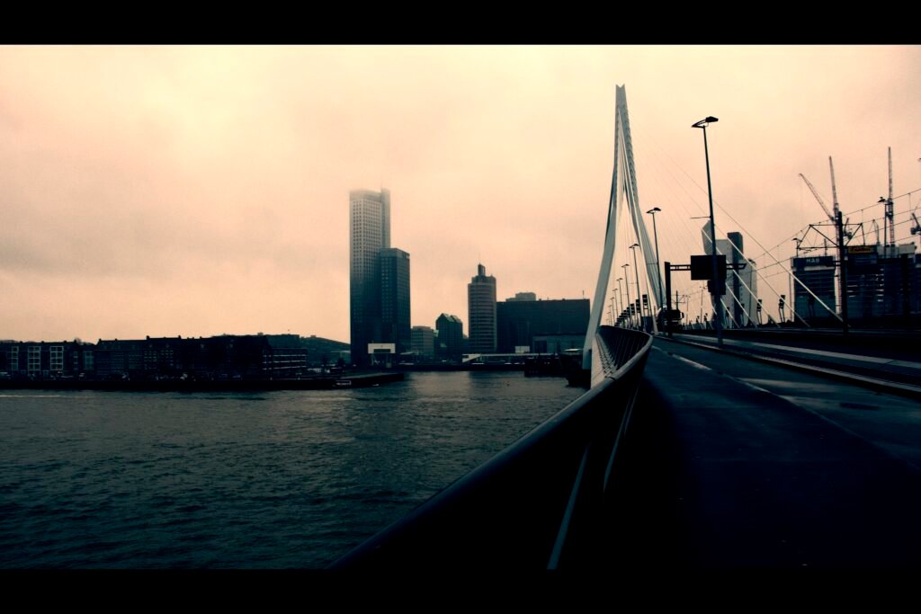 Erasmus Bridge crossing the Nieuwe Maas with Rotterdam skyline beyond