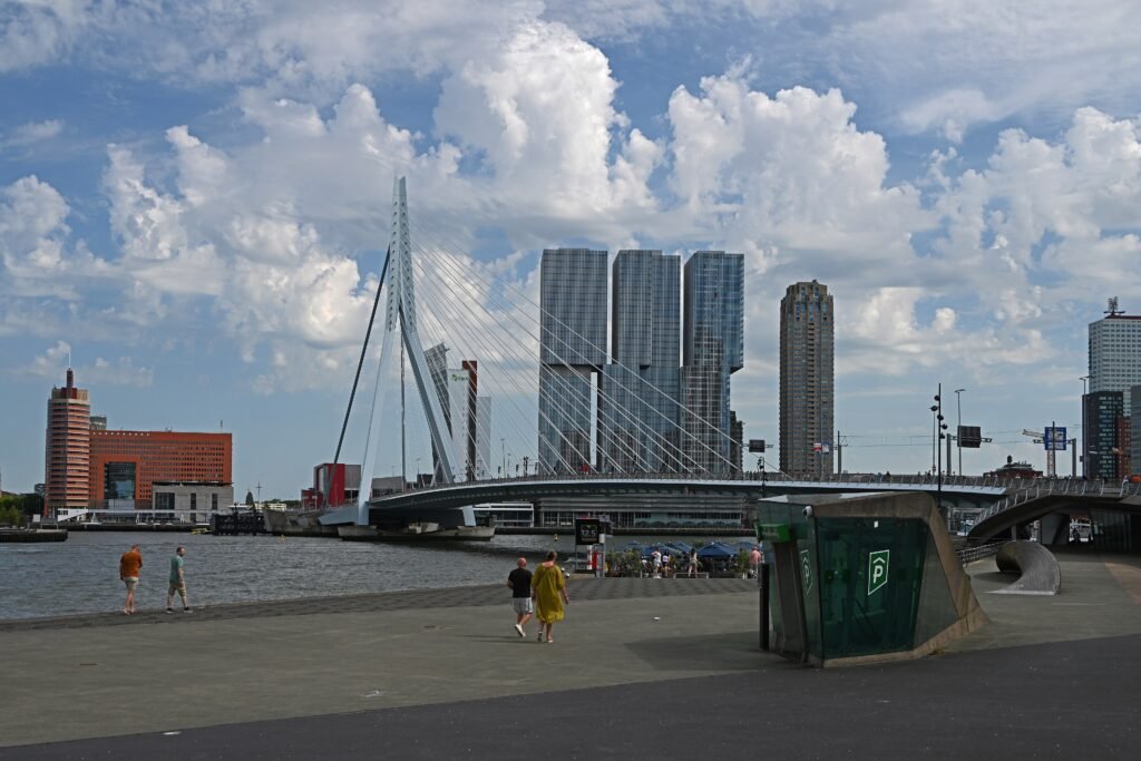 Erasmus Bridge across the Nieuwe Maas in Rotterdam with Kop van Zuid beyond
