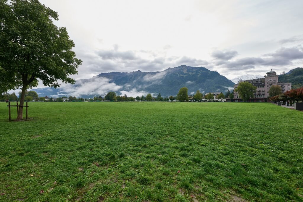 Höhematte park in central Interlaken with hotels and mountains beyond