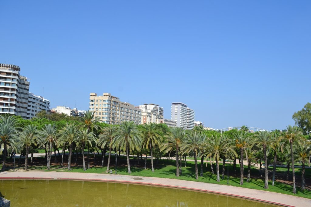 Palm trees and paths in Valencia's Turia Gardens viewed from Puente del Mar