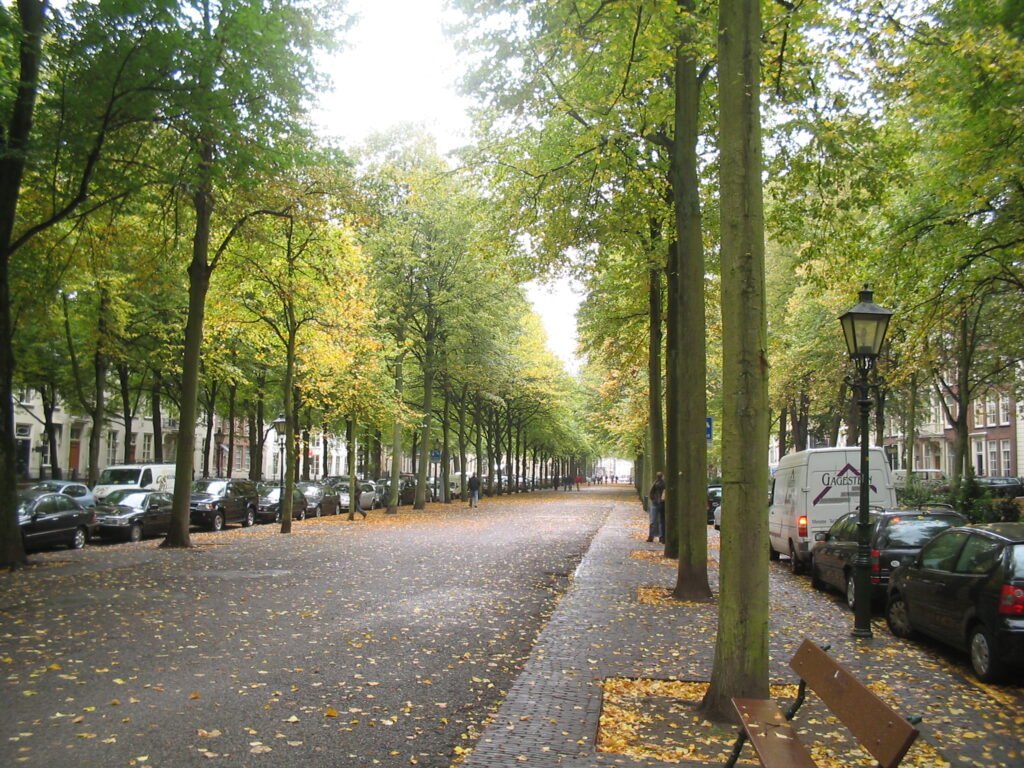 Tree-lined Lange Voorhout in central The Hague