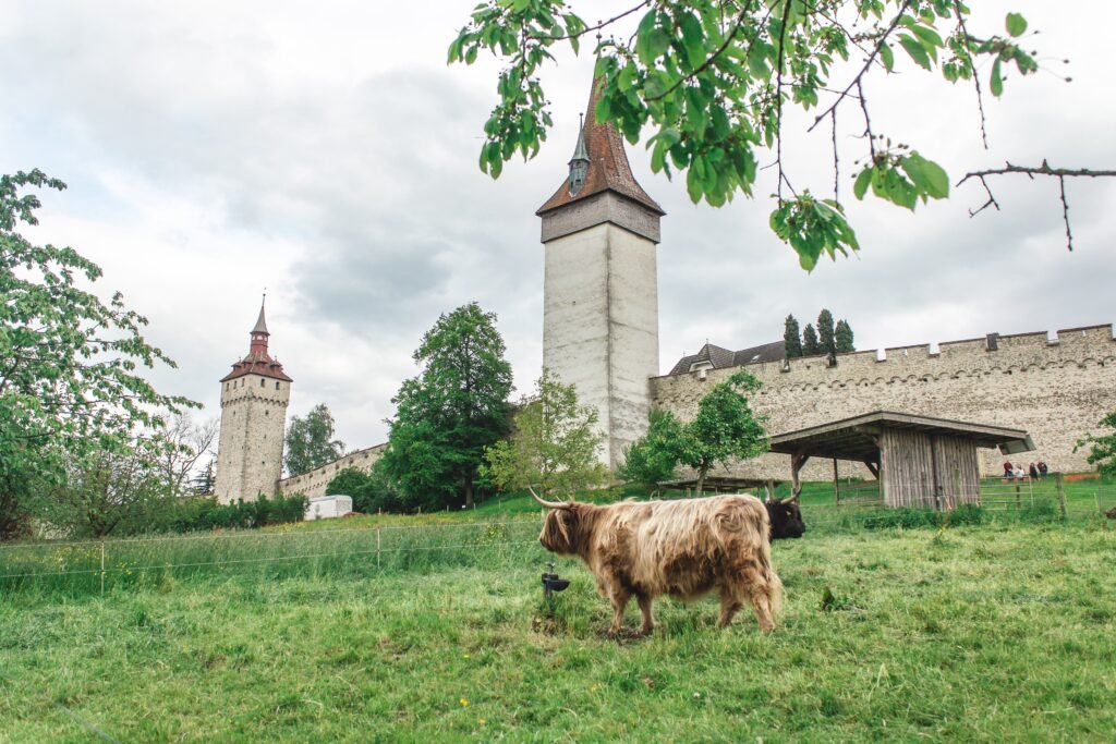 Musegg Wall and medieval towers above Lucerne Old Town