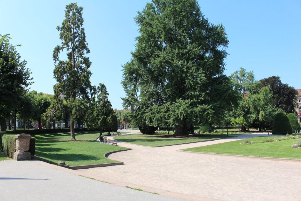 Tree-lined Place de la République in Strasbourg’s Neustadt district