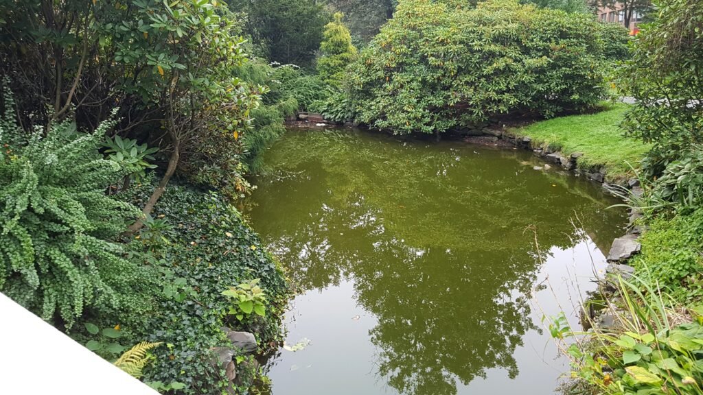 Pond and greenery inside Halifax Public Gardens