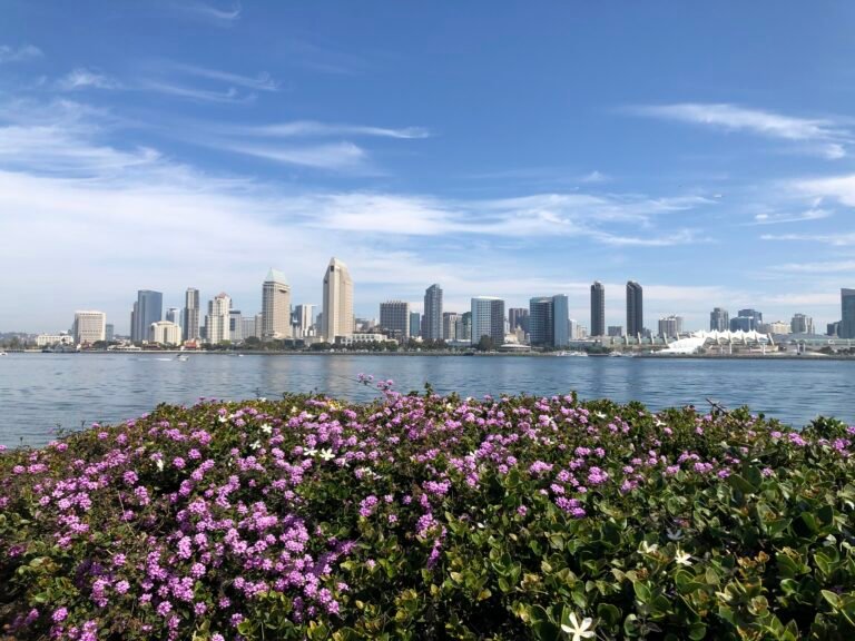 San Diego skyline viewed across the bay from Coronado