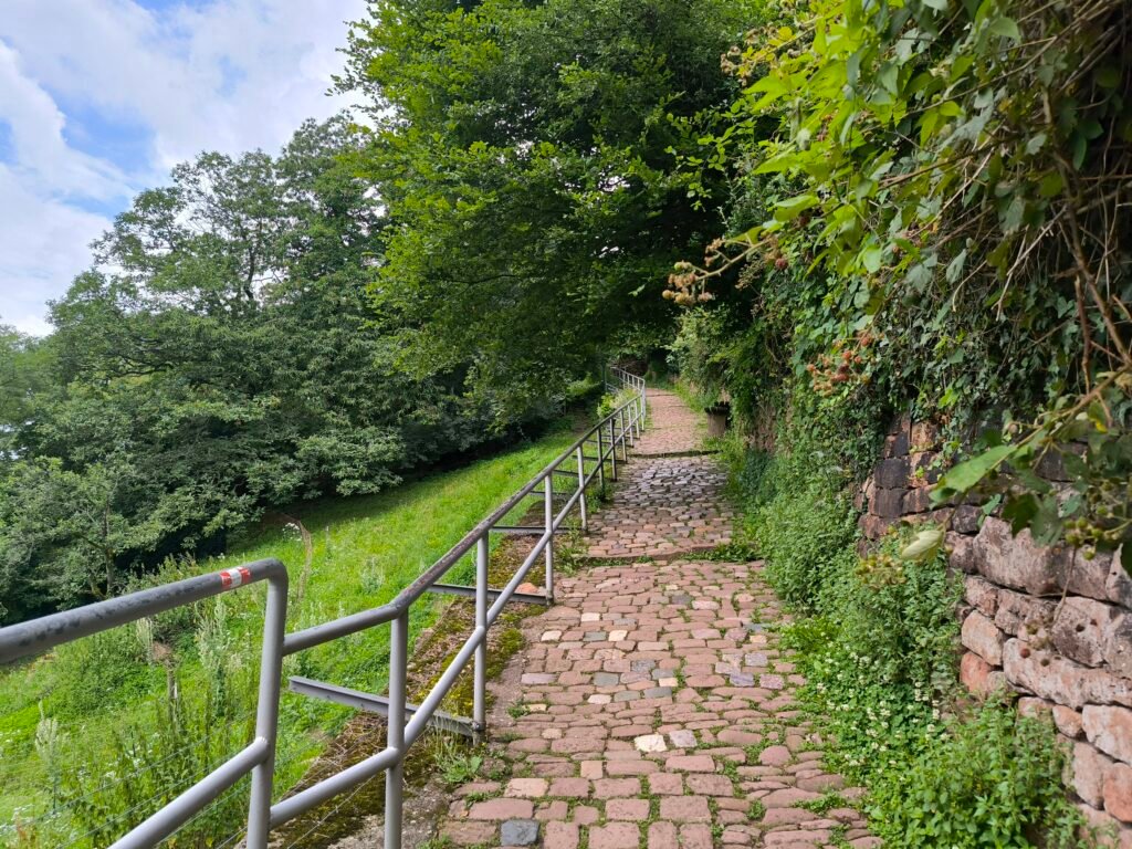 Steep stone-paved Schlangenweg climbing through greenery toward Philosophenweg in Heidelberg