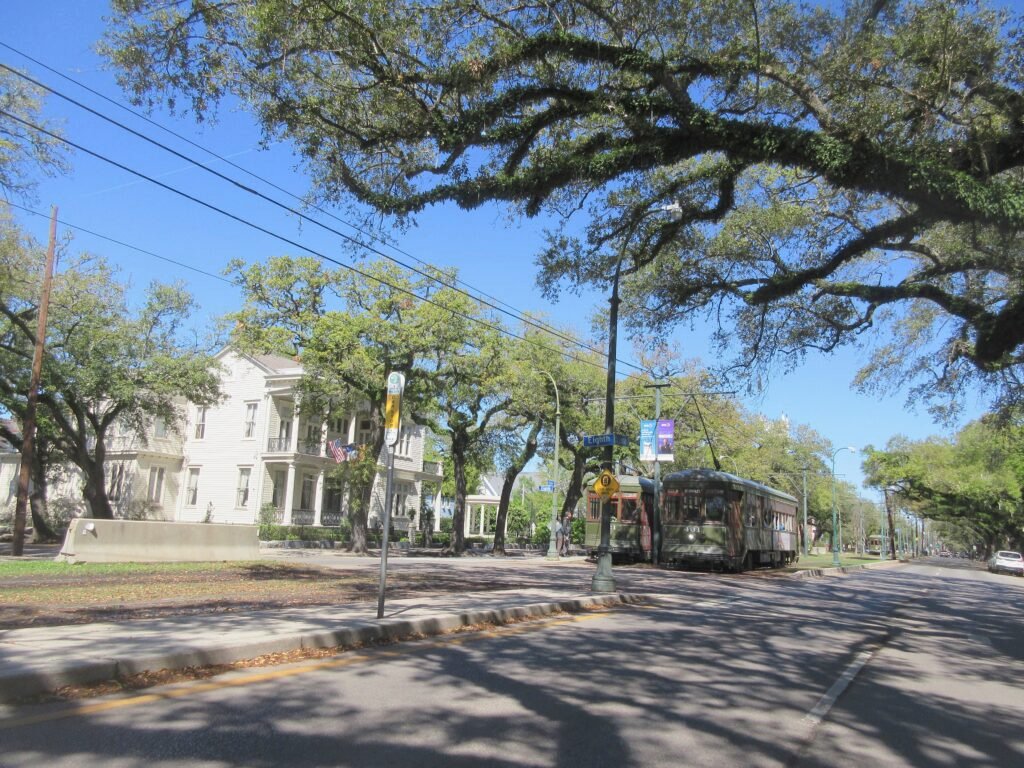 A green St. Charles Avenue streetcar running beneath oak trees in Uptown New Orleans