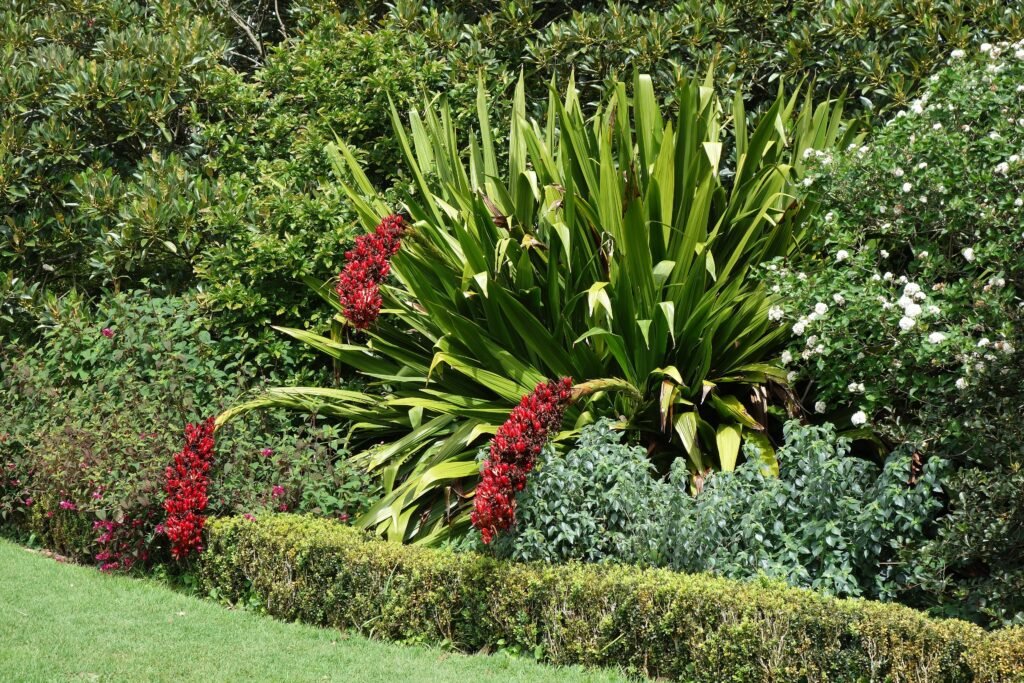 Paths and greenery in Albert Park, Auckland
