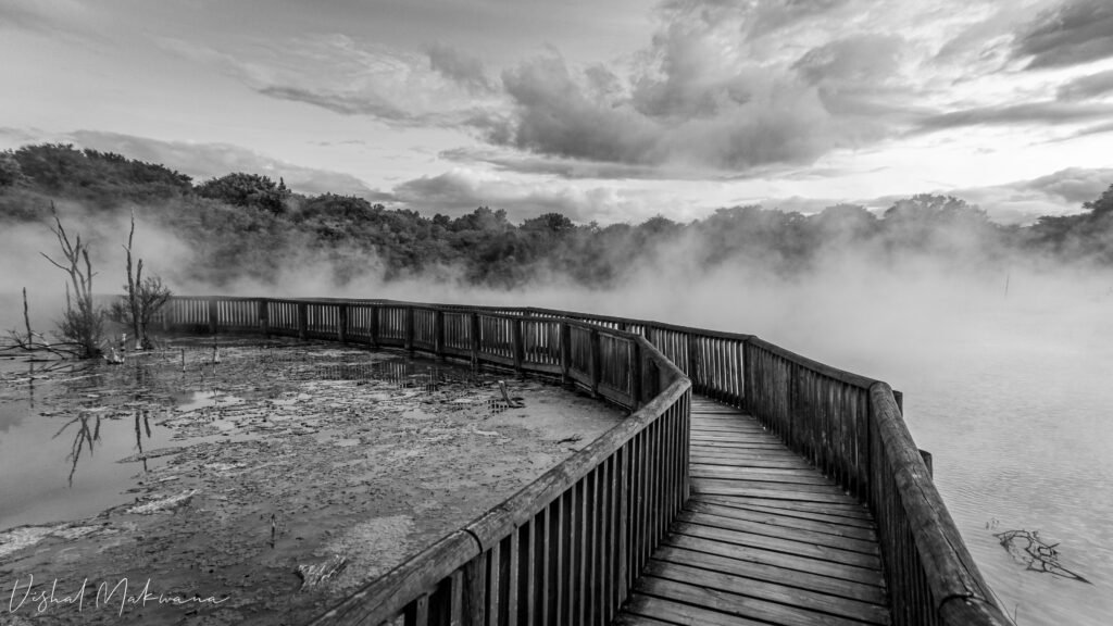 Wooden boardwalk through steaming geothermal terrain in Kuirau Park, Rotorua