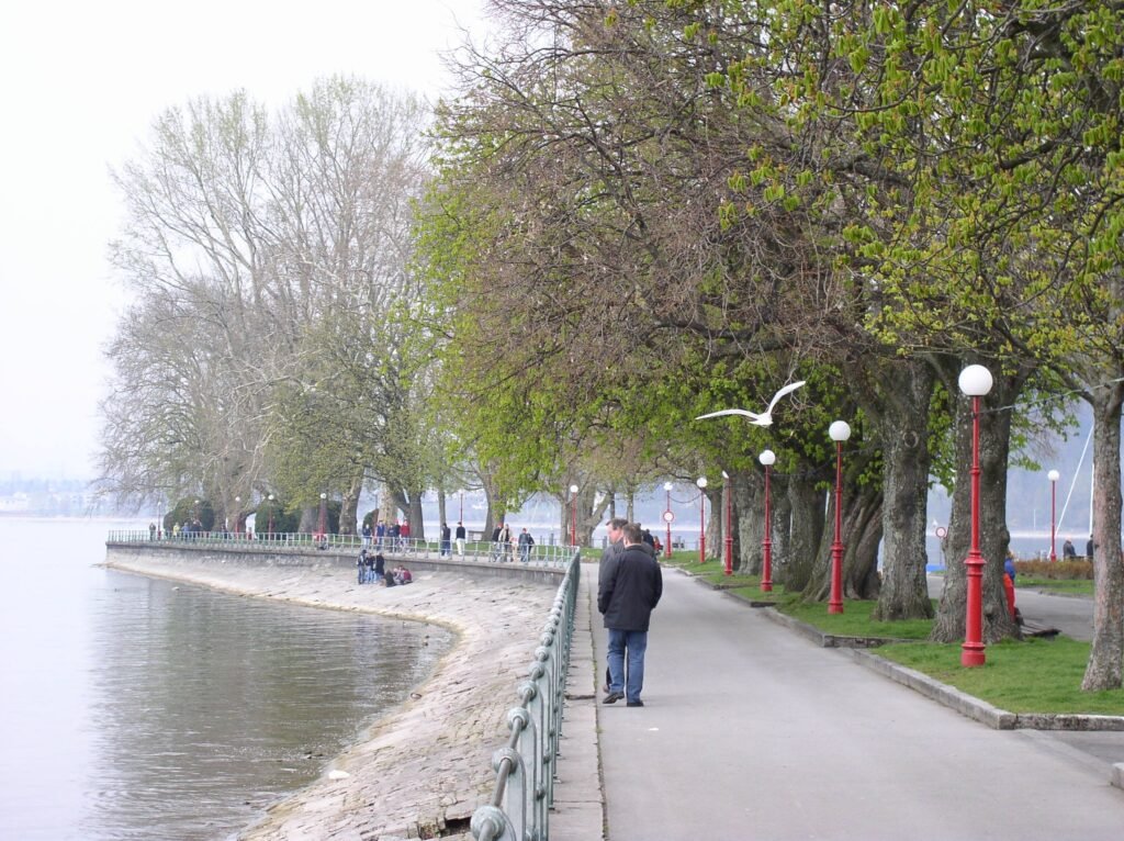 Wide lakeside promenade beside Bregenz harbor