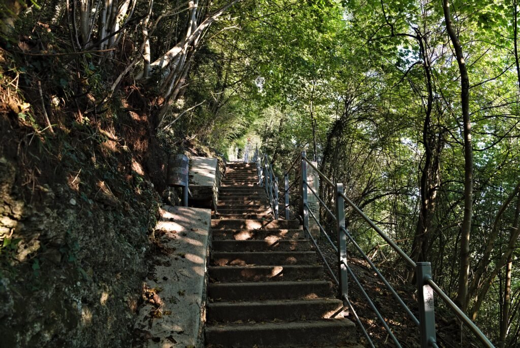 Stone steps of the Clemens-Holzmeister-Stiege climbing through trees on Mönchsberg in Salzburg