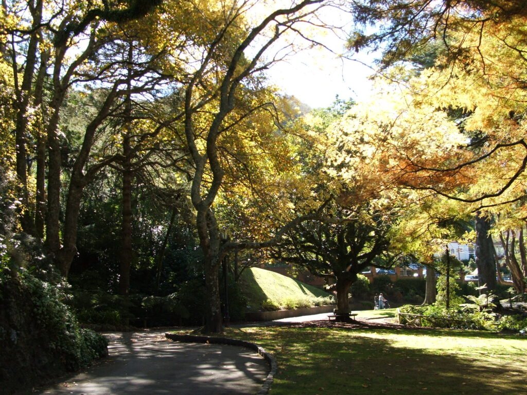 Walking path near the Duck Pond in Wellington Botanic Garden