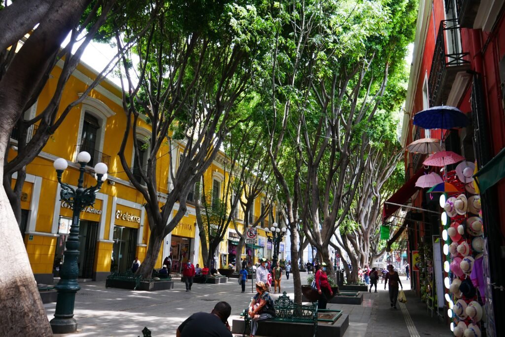 Tree-shaded pedestrian Calle 5 de Mayo in Puebla's historic center