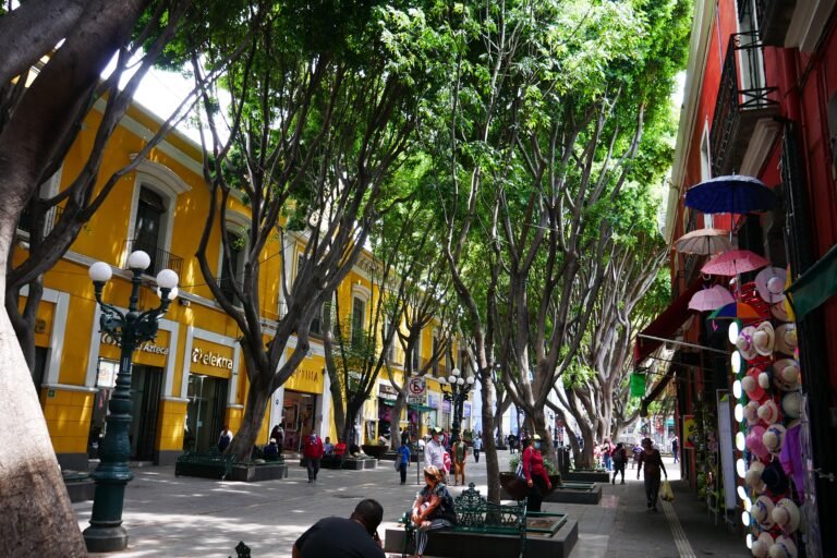 Tree-shaded pedestrian Calle 5 de Mayo in Puebla's historic center
