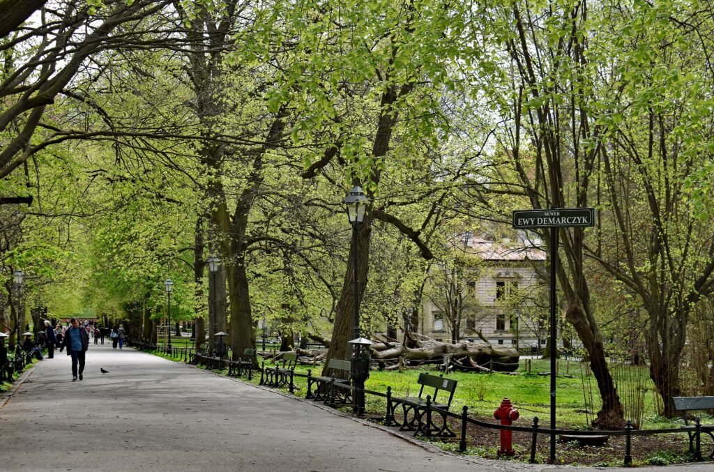 Wide pedestrian path through Planty beside Kraków Old Town