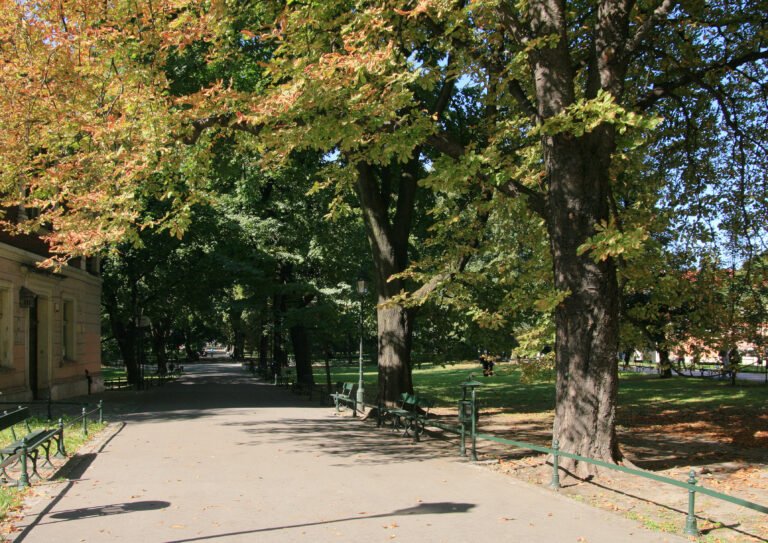 Tree-lined pedestrian path through Planty Park in Kraków