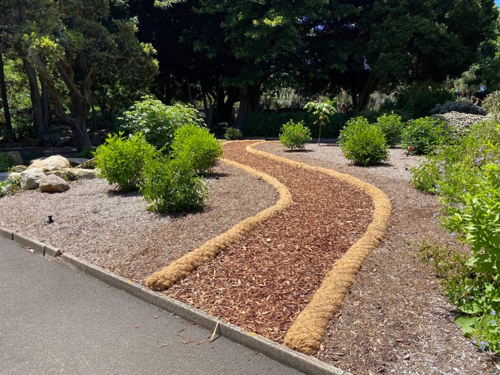 Curving pedestrian path through the Royal Botanic Garden Sydney